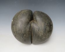 A LARGE COCO-DE-MER, 31 x 28 cm