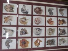 TWO FRAMED SETS OF COPE BROS AND JOHN PLAYER CARDS, together with several sets and part sets in box