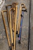 A QUANTITY OF ASSORTED WALKING STICKS