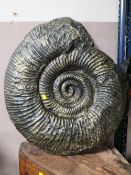 A MODERN FOSSIL MODEL DIA. 64 CM