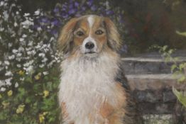 A FRAMED AND GLAZED WATERCOLOUR AND GOUACHE OF A DOG ENTITLED 'JOSHUA' BY JOAN BARNETT - DETAILS