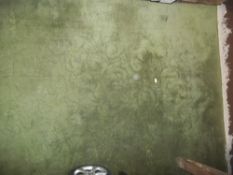 A VERY LARGE GREEN RUG - APPROX 5.8 M x 3.7 M (SALEROOM)