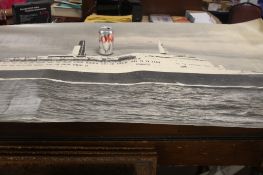 A LARGE PICTURE OF QUEEN ELIZABETH 2ND A/F TOGETHER WITH A POSTER OF THE BATTLE OF BRITAIN SIGNED