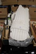 TWO PAIRS OF CRICKET PADS, A PAIR OF BATTING GLOVES, TWO BALLS AND A SIGNED MINI CRICKET BAT