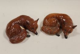 TWO BESWICK CURLED UP FOXES