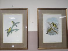 FOUR GILT FRAMED AND DOUBLE GLAZED ORNITHOLOGICAL PRINTS