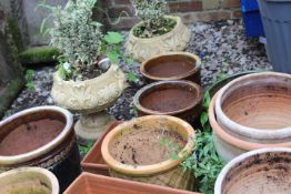 A QUANTITY OF CIRCULAR GARDEN POTS TO INCLUDE TWO WITH SHRUBS