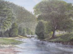 E. SALE (XX). Welsh wooded river landscape, signed lower right, watercolour, framed and glazed, 37 x