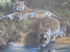 DOROTHEA BUXTON HYDE (b.1942).Study of tigers resting by a river, signed in pencil lower right,