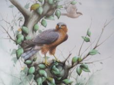 DAVID ALAN FINNEY (b.1961). Study of two kestrels, one perched on a tree branch, signed lower