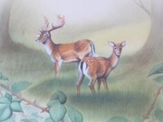 DAVID ALAN FINNEY (b.1961). Study of two fallow deer in a woodland clearing, signed lower right,