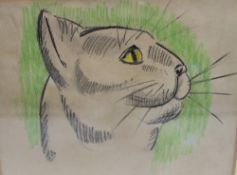 ELIZABETH MUNTZ (XX) A study of a cats head 'Portrait of a Gentleman', see label verso, signed