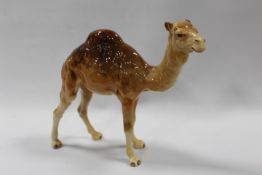 A BESWICK CAMEL