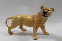 A BESWICK LIONESS