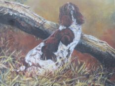 DAVID MAYER (XX). British school, study of a springer spaniel by fallen branch 'Springer Spaniel