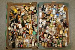 A COLLECTION OF APPROX 100 MINIATURES TO INCLUDE MARTELL COGNAC AND MINI GUINNESS