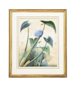 A SET OF TWO BOTANICAL STUDIES