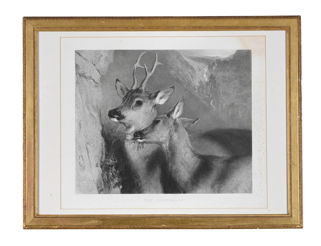 AFTER EDWIN LANDSEER, A GROUP OF 11 DECORATIVE PRINTS (11) - Image 11 of 12