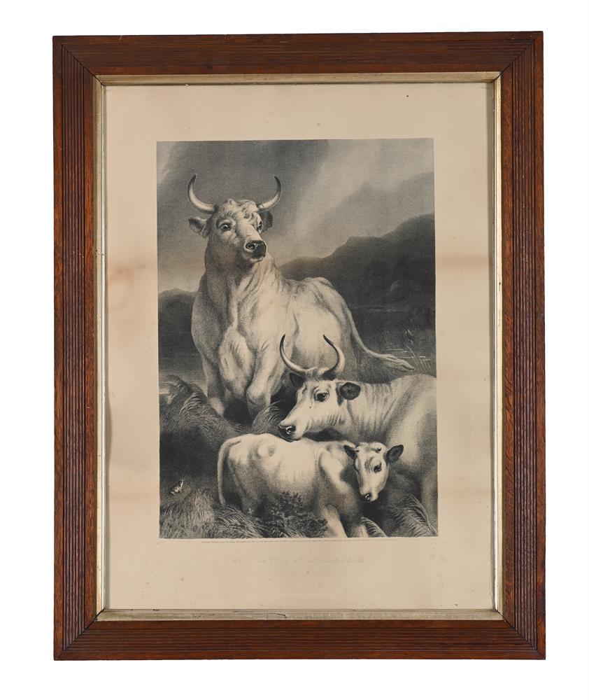 AFTER EDWIN LANDSEER, A GROUP OF 11 DECORATIVE PRINTS (11) - Image 9 of 12