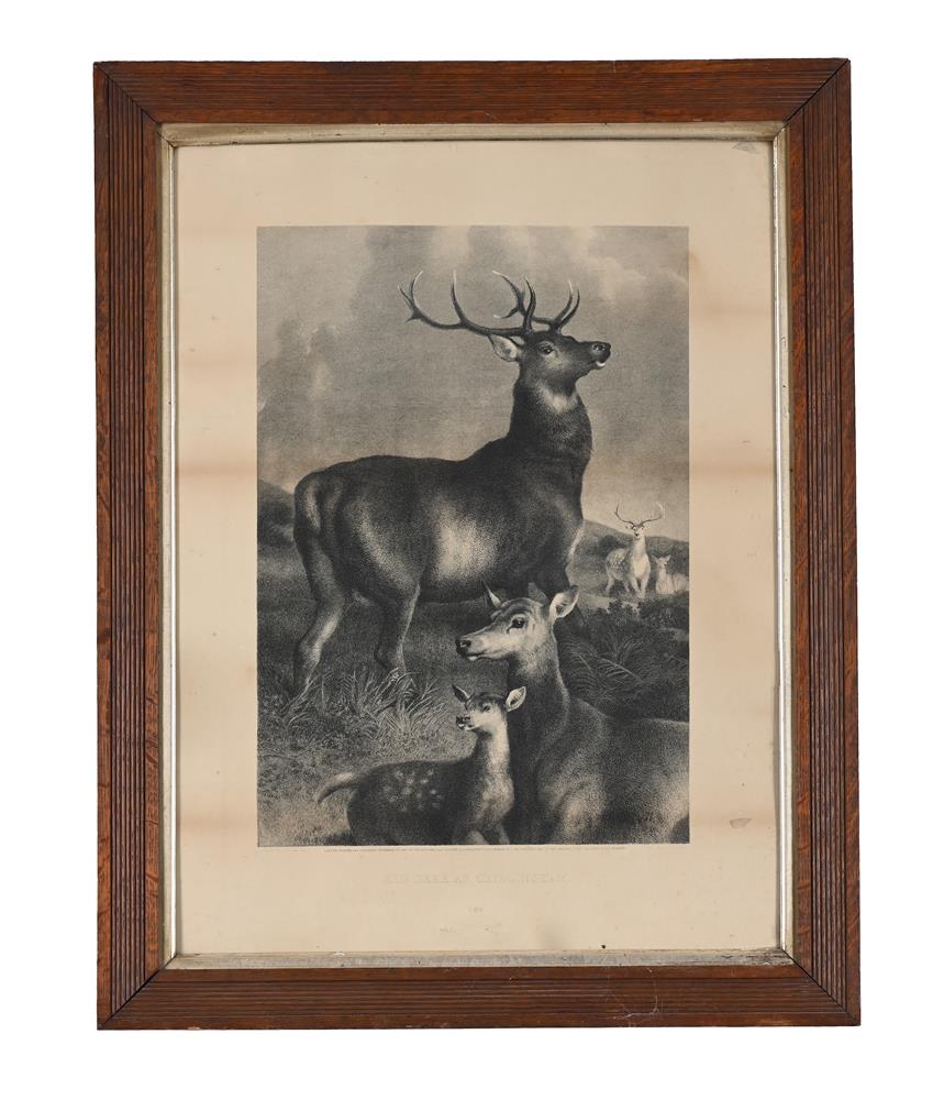 AFTER EDWIN LANDSEER, A GROUP OF 11 DECORATIVE PRINTS (11) - Image 8 of 12