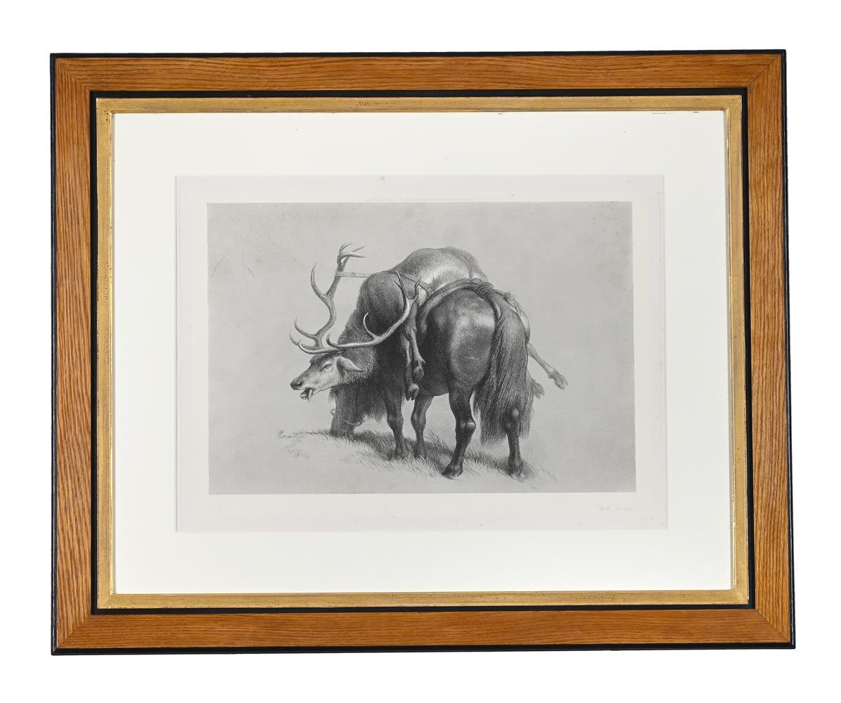 AFTER EDWIN LANDSEER, A GROUP OF 11 DECORATIVE PRINTS (11) - Image 6 of 12