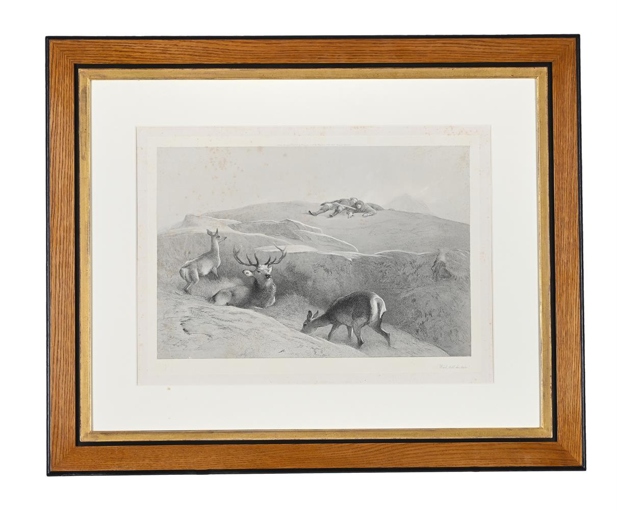 AFTER EDWIN LANDSEER, A GROUP OF 11 DECORATIVE PRINTS (11) - Image 5 of 12