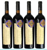2009/2016 Vertical of Sena, Aconcagua