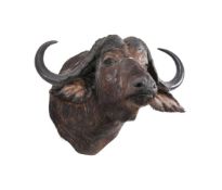 Y A PRESERVED CAPE BUFFALO, SYNCERUS CAFFER