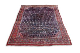 A LARGE BIDJAR CARPET, OF OVERALL DESIGN, approximately 546 x 459cm
