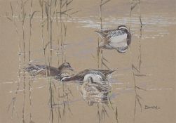 λ ERIC ARNOLD ROBERTS ENNION (BRITISH 1900-1981), GARGANEY IN THIN REEDS