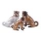 A MEISSEN MODEL OF A PUG AFTER THE ORIGINAL MODEL BY KANDLER AND REINICKE - Image 1 of 2