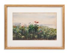 ANDREW NICHOLL (IRISH 1804-1866), WILDFLOWERS