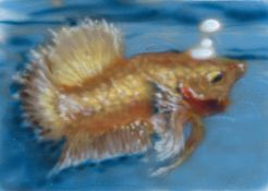 Jack Jubb, Fish, 2023