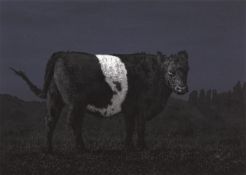 Julian Hicks, Screaming Cow, 2023