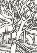 Jo Peel, Growing Through, 2023