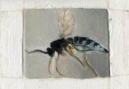 Tomas Harker, Sciaridae, 2023