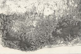 Robin Kandel, Furthermore We Couldn't Stay, 2023