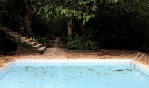 Annette van Waaijen, The Pool (Rio) I, 2023