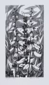 λ Monica Poole (1921-2003) Foxgloves