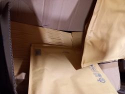Paper cases approx 150 pieces box 419