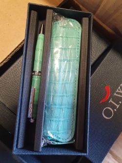 Pen and case approximately 400 box no 205