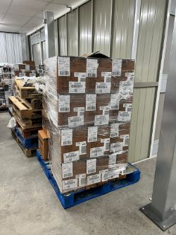 PALLET OF SKETCHERS FOOTWEAR - 100 PAIRS