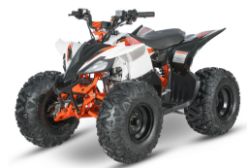 BRAND NEW STOMP RAGING BULL AT110 ATV QUAD