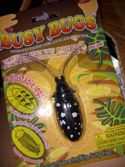 BUSY BUGS APROX 40