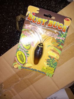 BUSY BUGS APROX 50