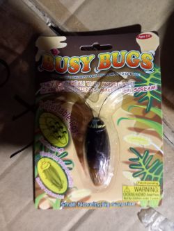BUSY BUGS APROX 600
