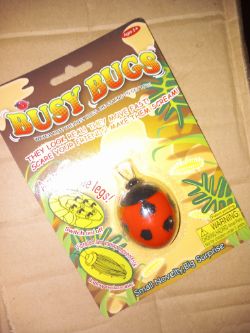 BUSY BUGS APROX 500