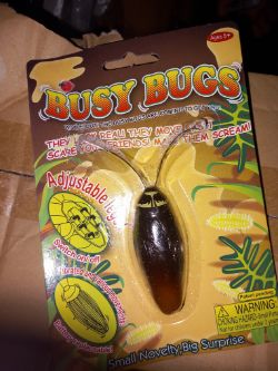 BUSY BUGS APROX 40