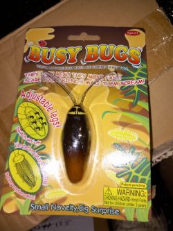 BUSY BUGS APROX 50