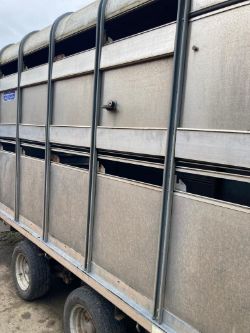 2005 IFOR WILLIAMS DP120 LIVE STOCK TRAILER